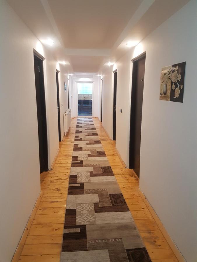 Pensiunea Silvania Statjunea Borsa Экстерьер фото